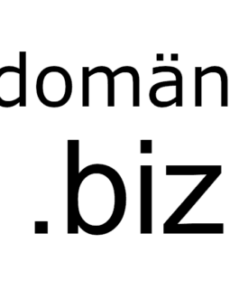 .biz domän